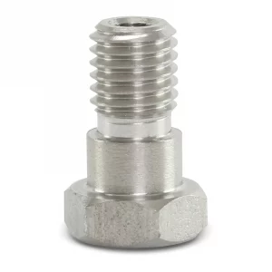 Retaining Screw