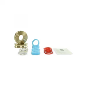 Seal Repair Kit with Bronze Backups