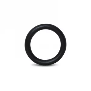 Inlet O-ring