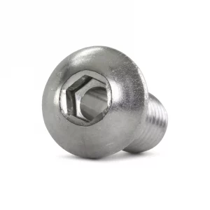 Check Tube Screw, 1 in.